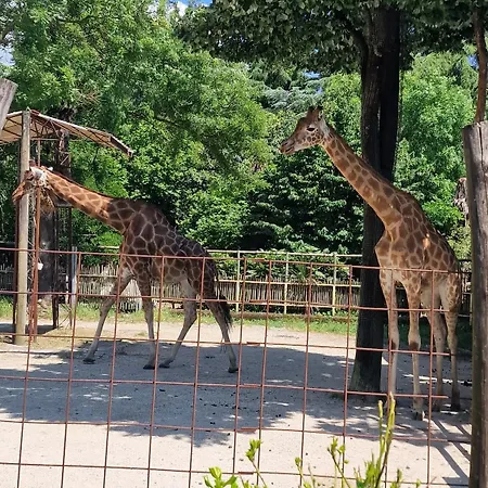 Rosa Selvatica By World Lejlighed Marliana