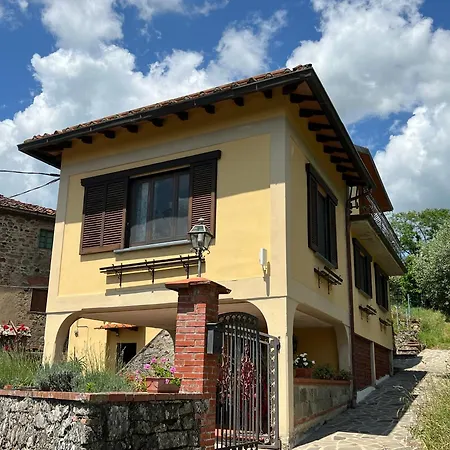 Rosa Selvatica By World Marliana