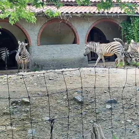 Rosa Selvatica By World *