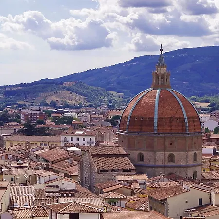 Rosa Selvatica By World * Marliana