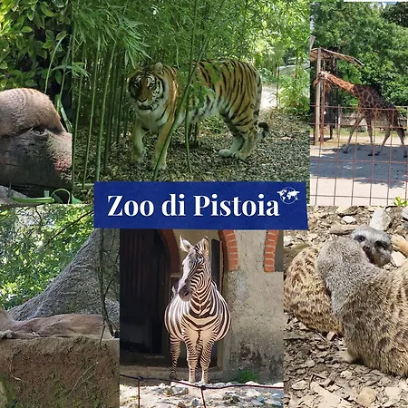 Rosa Selvatica By World Lejlighed Marliana